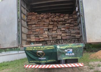 Ipaam abre cadastro para doação de bens apreendidos em fiscalizações ambientais