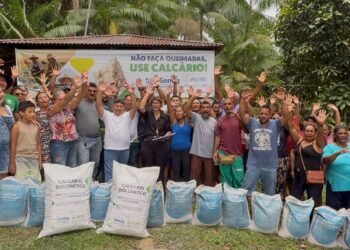 Sinésio Campos incentiva uso de calcário no campo