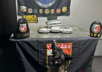 PMAM apreende maconha em Coari durante operação