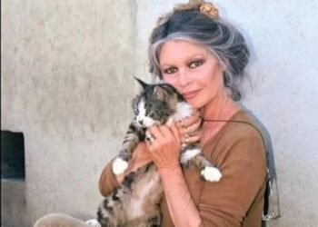 Morre Brigitte Bardot, ícone do cinema mundial e da causa animal, aos 91 anos