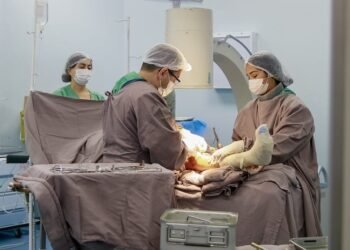 HPS Platão Araújo registrou mais de 15.300 atendimentos ortopédicos a idosos, a maioria em decorrência de quedas