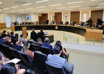 Após adequações, TCE-AM autoriza admissões em Processo Seletivo de Anor