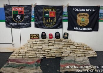 Base Arpão 3: PMAM apreende mais de 220 kg de skunk nas proximidades de Barcelos