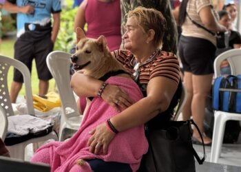 Governo do Amazonas promove ação de castração solidária de animais no bairro Betânia, zona sul da capital