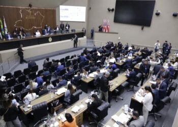 Assembleia Legislativa do Amazonas promulga seis novas Leis nas áreas de saúde, cultura e meio ambiente