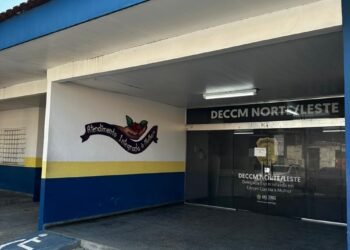 PC-AM prende homem por estupro, lesão corporal, cárcere privado e outros crimes contra a ex-companheira