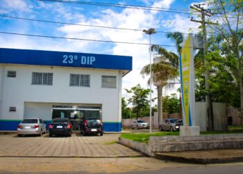 Após denúncia, PC-AM prende homem por quebrar as pernas de um cachorro na zona leste de Manaus