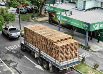 Ipaam doa 300 paletes apreendidos à Defesa Civil do Amazonas e de Manaus após fiscalização em Manacapuru