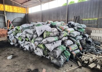 Operação do Ipaam apreende 524 sacas de carvão vegetal irregular em Itacoatiara