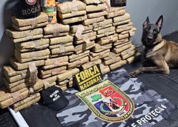 Base Arpão 2: PMAM apreende mais de 70 quilos de drogas escondidas em tubos de PVC e latas