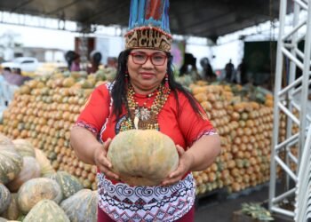 Governo do Estado publica edital do Programa de Aquisição de Alimentos (PAA) beneficiando indígenas e comunidades tradicionais 