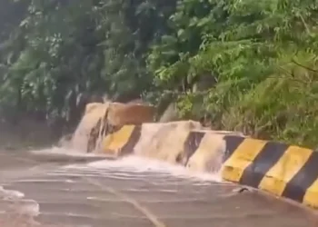 Chuvas deixam 384 desabrigados em Peruíbe, no litoral paulista