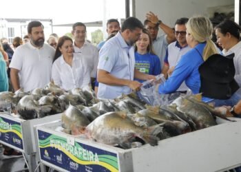 Governador Wilson Lima inicia entrega de 470 toneladas de peixe e reforça segurança alimentar na Semana Santa