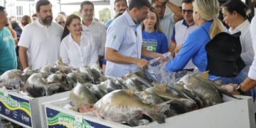 Governador Wilson Lima inicia entrega de 470 toneladas de peixe e reforça segurança alimentar na Semana Santa