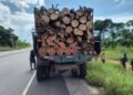 Operação Região Metropolitana: Ipaam apreende caminhão e lenha transportada sem documentação na AM-070