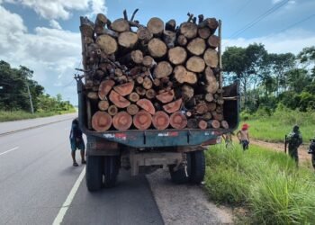 Operação Região Metropolitana: Ipaam apreende caminhão e lenha transportada sem documentação na AM-070