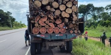 Operação Região Metropolitana: Ipaam apreende caminhão e lenha transportada sem documentação na AM-070