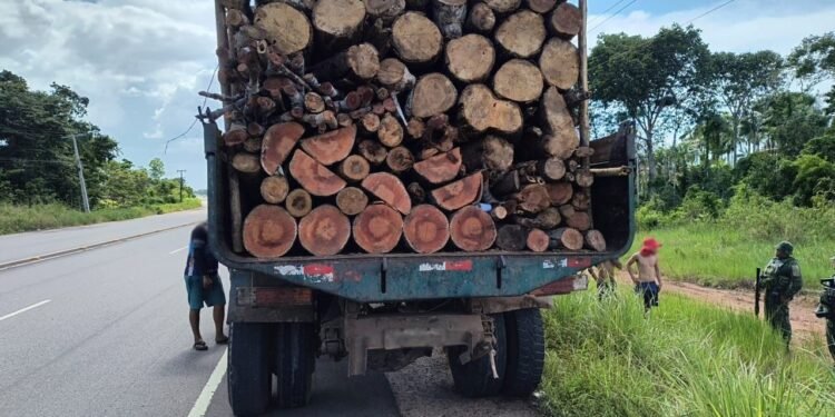 Operação Região Metropolitana: Ipaam apreende caminhão e lenha transportada sem documentação na AM-070