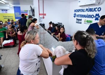 Hospital Público Veterinário do Amazonas ultrapassa a marca de 26 mil animais atendidos em 5 meses de funcionamento