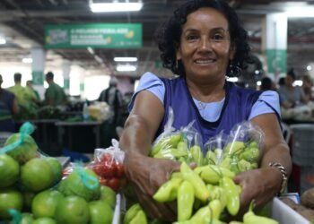 Feiras de Produtos Regionais: ADS divulga programação da segunda semana de março