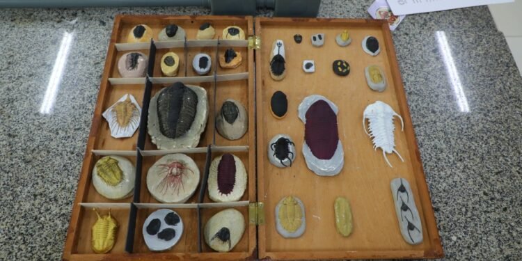 Fapeam está com inscrições abertas para o Programa de Apoio à Organização, Restauração, Preservação e Divulgação de Coleções Biológicas e Museus