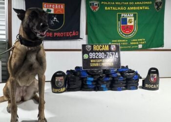 Base Tiradentes: PMAM apreende 26 kg de entorpecentes e prende suspeito por tráfico de drogas