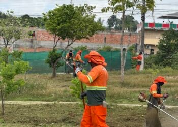 Prefeitura de Manaus realiza plantio de 13.400 mudas como parte da estratégia de arborização da capital amazonense