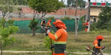 Prefeitura de Manaus realiza plantio de 13.400 mudas como parte da estratégia de arborização da capital amazonense