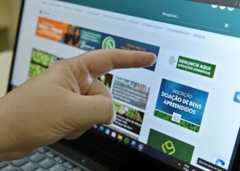 Ipaam lança novo canal digital para denúncias de infrações ambientais no Amazonas