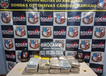 Operação Interior Mais Seguro: PMAM apreende 23 kg de maconha tipo skunk e prende homem por tráfico de drogas, em Tefé