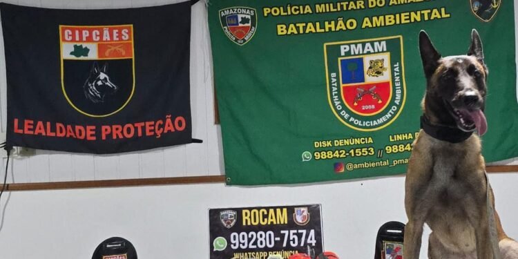 Base Tiradentes: Cão policial encontra nove quilos de entorpecentes escondidos em embarcação