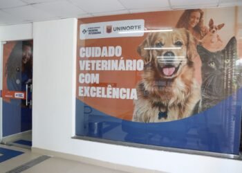 Março Amarelo Pet: especialista orienta sobre prevenção de doenças renais
