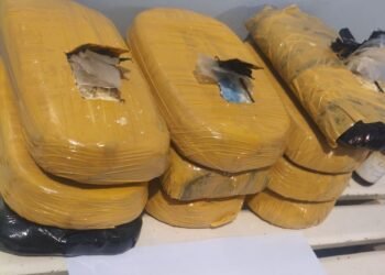 Base Tiradentes:  Cão policial encontra 12 kg de entorpecentes escondidos dentro de colete salva vidas