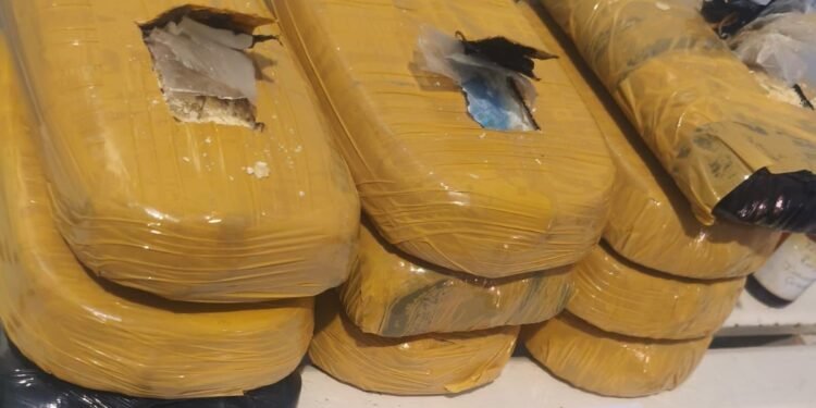 Base Tiradentes:  Cão policial encontra 12 kg de entorpecentes escondidos dentro de colete salva vidas