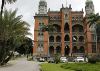 Hospitalizações por Influenza A têm aumentado no país, informa Fiocruz