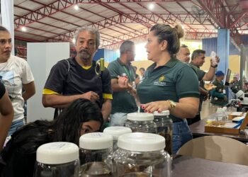 Governo Presente: FVS-RCP promove orientação e prevenção à população