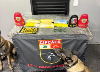 Base Arpão 2: Em duas ações distintas, PMAM apreende 18 tabletes de entorpecentes