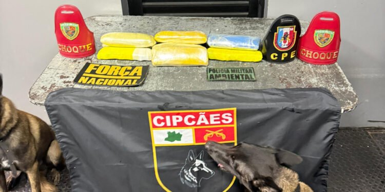 Base Arpão 2: Em duas ações distintas, PMAM apreende 18 tabletes de entorpecentes