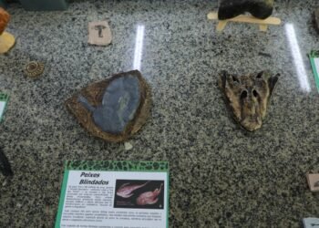 Últimos dias de inscrições para os programas Prospam e Coleções Biológicas, da Fapeam