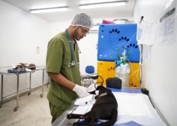 HPVet-AM alcança mais de 33 mil animais atendidos e reforça importância da saúde animal no Amazonas
