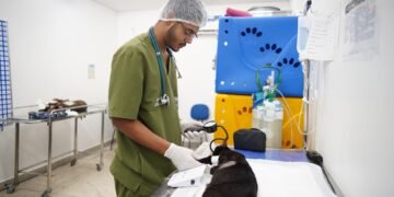 HPVet-AM alcança mais de 33 mil animais atendidos e reforça importância da saúde animal no Amazonas
