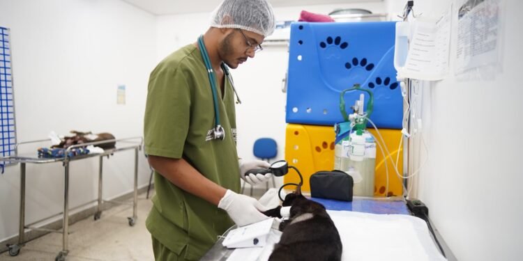 HPVet-AM alcança mais de 33 mil animais atendidos e reforça importância da saúde animal no Amazonas