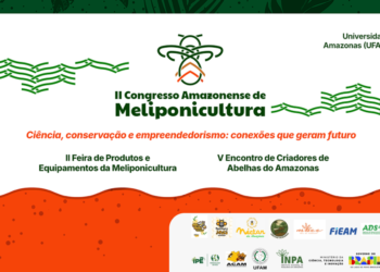 Inpa e Ufam promovem Congresso de Meliponicultura com foco na ciência, conservação e no empreendedorismo
