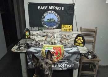 Base Arpão 2: PMAM apreende 54 barras de pasta-base de cocaína escondidas dentro de cadeiras de madeira
