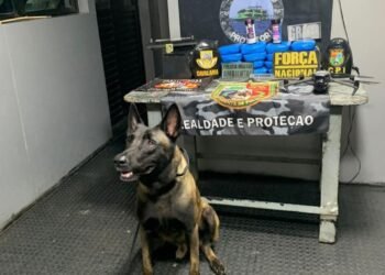 Base Arpão 2: PMAM prende dupla com mais de 17 kg de drogas ocultos no interior de esteira elétrica e uma bateria