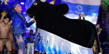 Ensaio dos Bumbás 2026: Bar do Boi Caprichoso leva a força da nação azulada ao  Sambódromo de Manaus