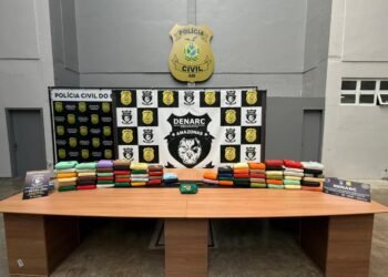Polícia Civil intercepta carga de maconha e cocaína que seria transportada de Manaus com destino ao Pará