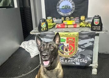 Base Arpão 2: PMAM apreende drogas escondidas em saco de bananas e caixas de equipamentos de informática