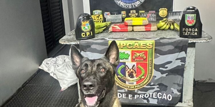 Base Arpão 2: PMAM apreende drogas escondidas em saco de bananas e caixas de equipamentos de informática