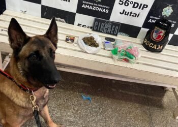 Base Arpão 1: PMAM apreende drogas enterradas em terreno baldio em Jutaí